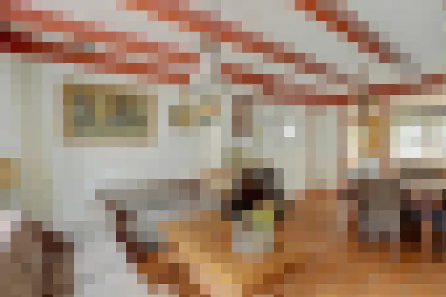 Gasthuisstraat 17 Heukelum thumbnail 8