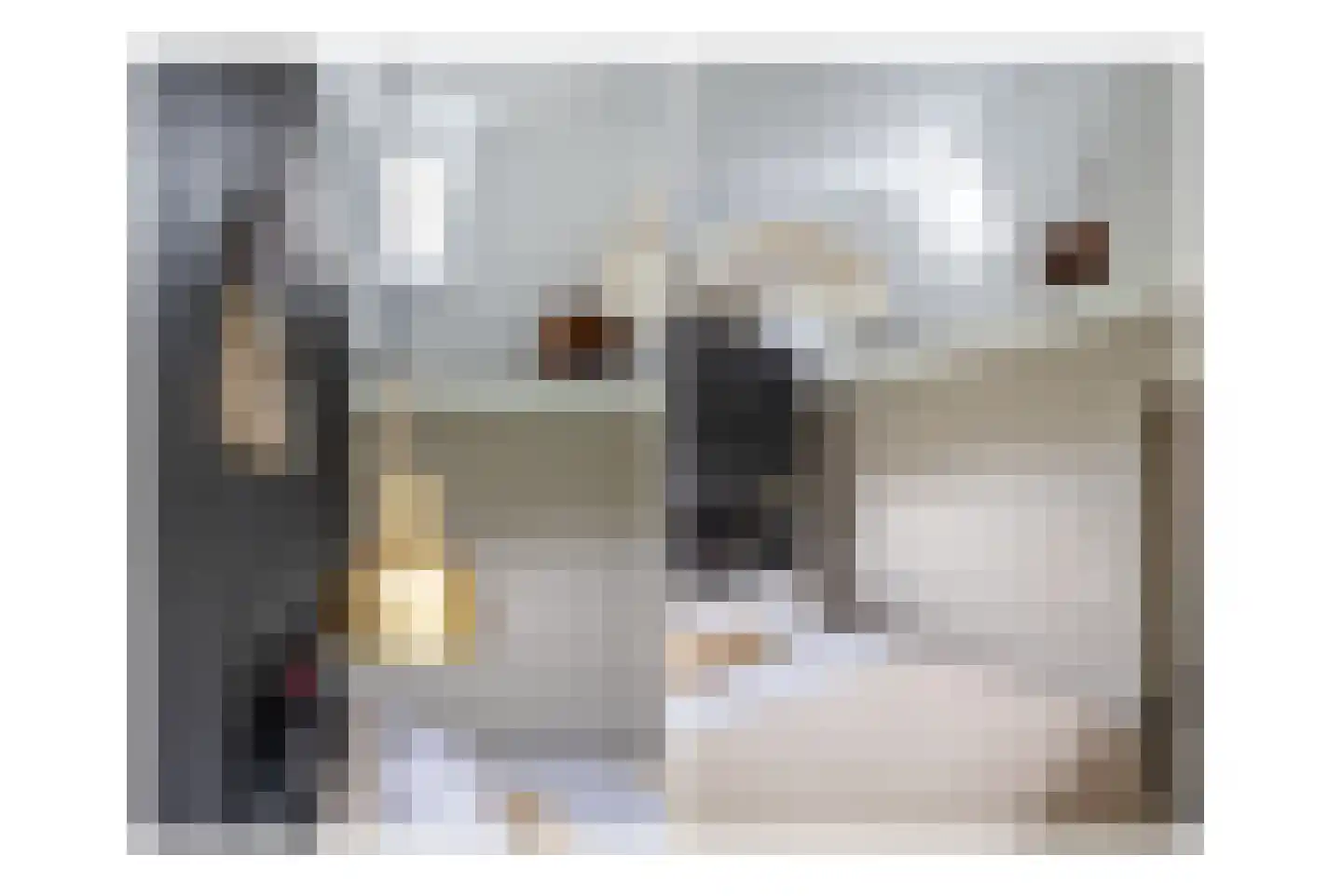 Gasthuisstraat 18 Helmond thumbnail 32