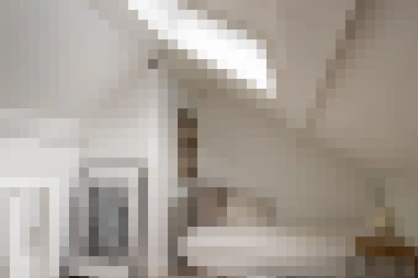 Gasthuisstraat 18 Helmond thumbnail 43