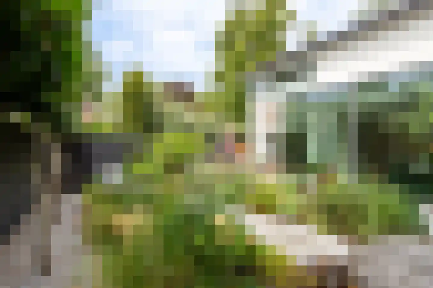 Gasthuisstraat 18 Helmond thumbnail 47