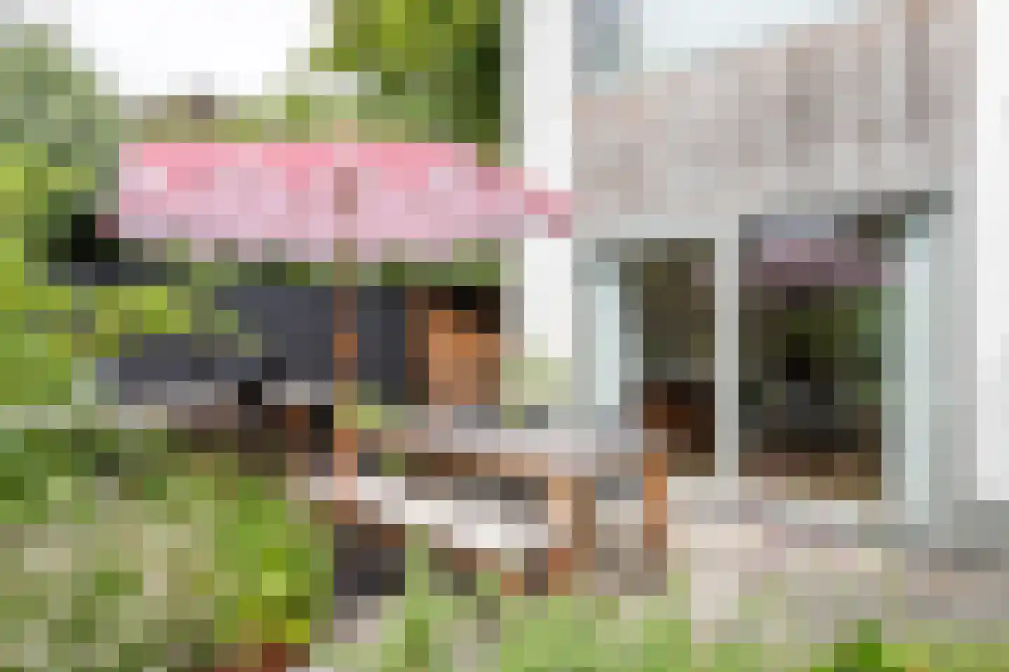 Gasthuisstraat 18 Helmond thumbnail 52