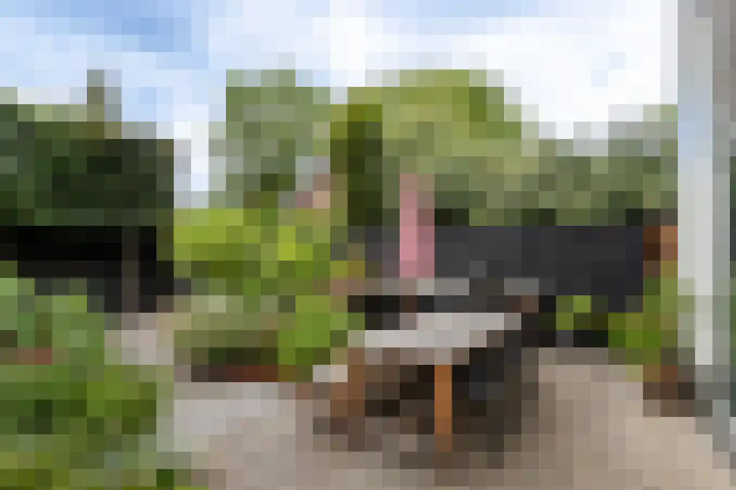 Gasthuisstraat 18 Helmond thumbnail 56
