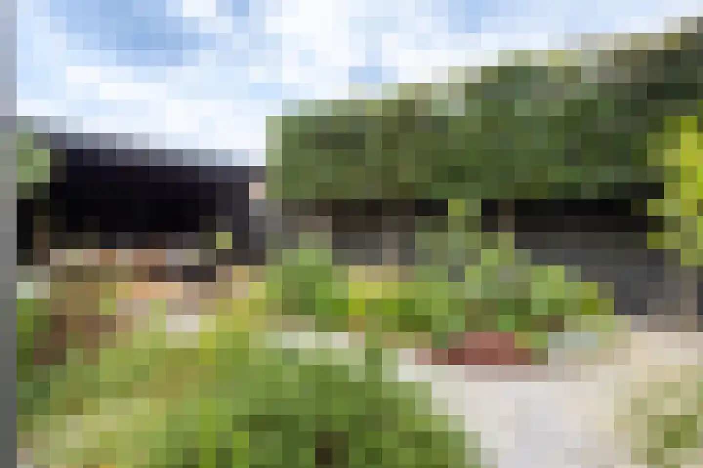 Gasthuisstraat 18 Helmond thumbnail 58