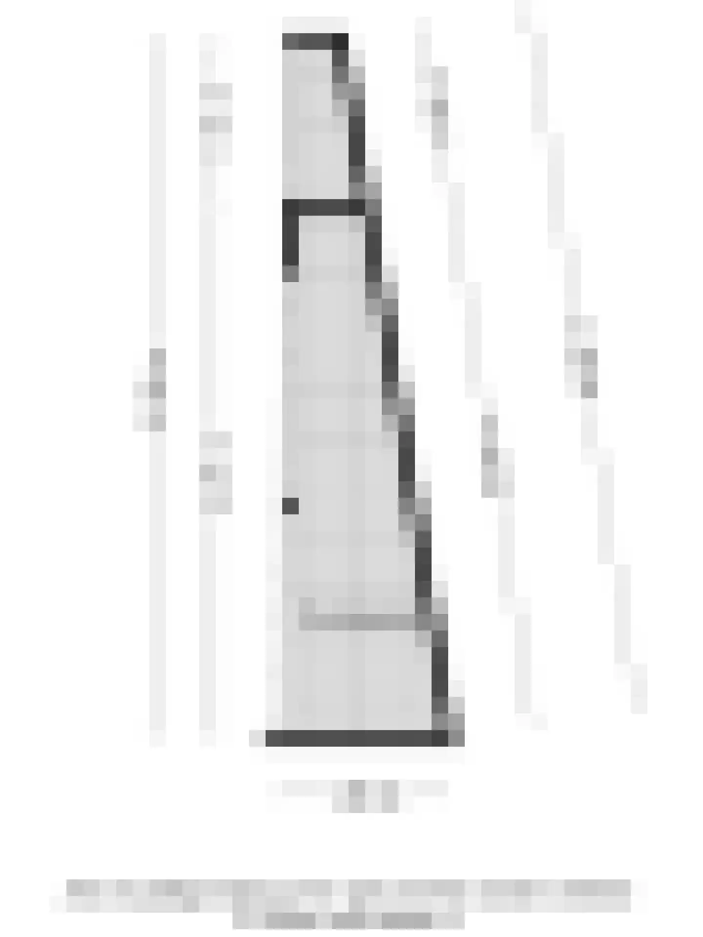 Gasthuisstraat 18 Helmond thumbnail 69