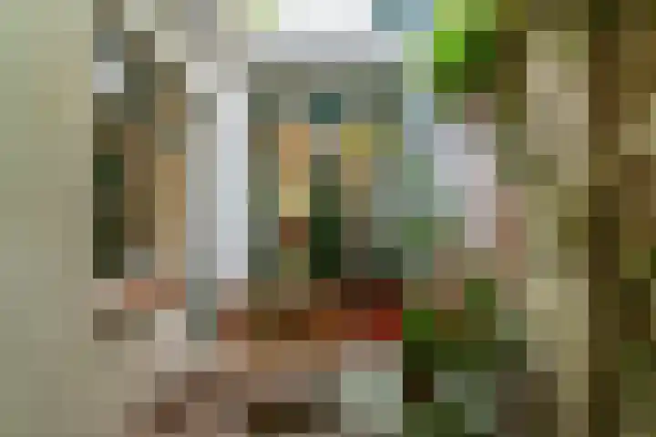 Gasthuisstraat 18 Tiel thumbnail 17