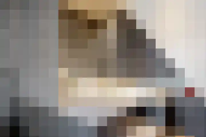 Gasthuisstraat 18 Tiel thumbnail 25
