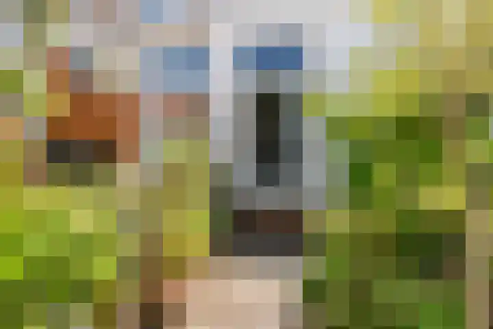 Gasthuisstraat 18 Tiel thumbnail 31
