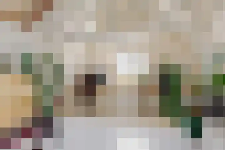 Gasthuisstraat 18 Tiel thumbnail 33