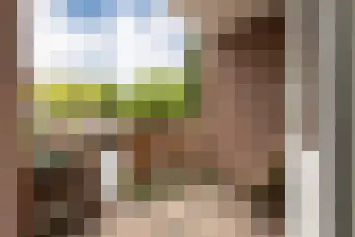 Gasthuisstraat 2 Barneveld thumbnail 24