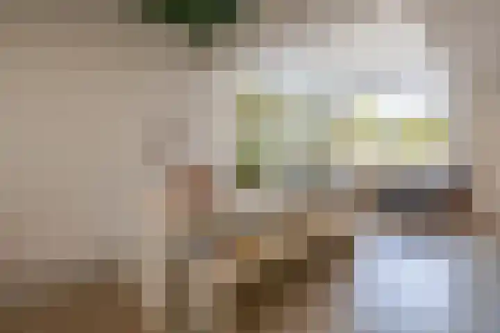 Gasthuisstraat 2 c Horst thumbnail 10