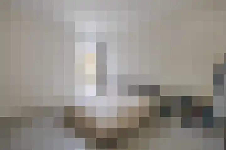 Gasthuisstraat 2 c Horst thumbnail 19