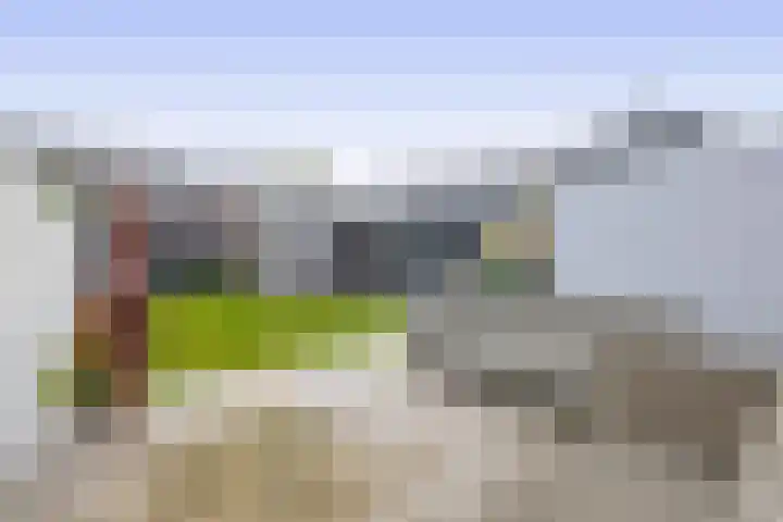 Gasthuisstraat 2 c Horst thumbnail 26