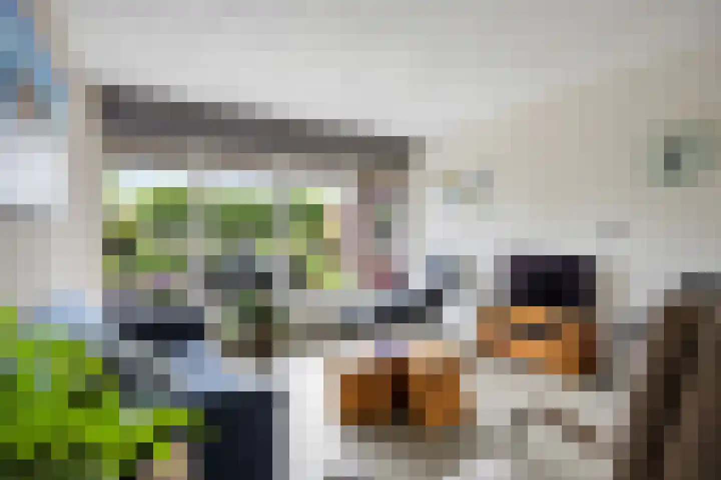 Gasthuisstraat 2 Gemonde thumbnail 11