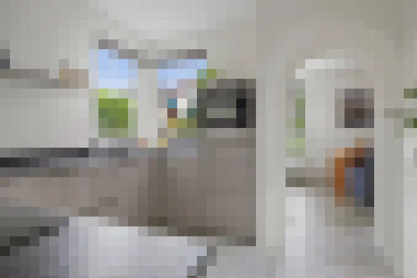 Gasthuisstraat 2 Gemonde thumbnail 23