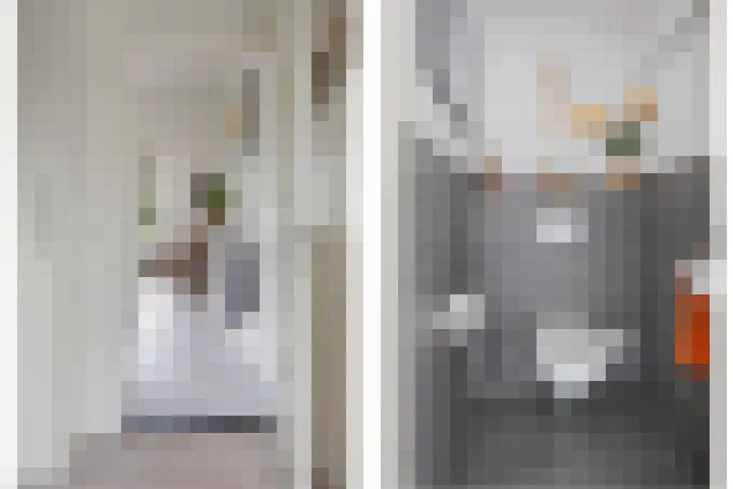Gasthuisstraat 2 Gemonde thumbnail 26