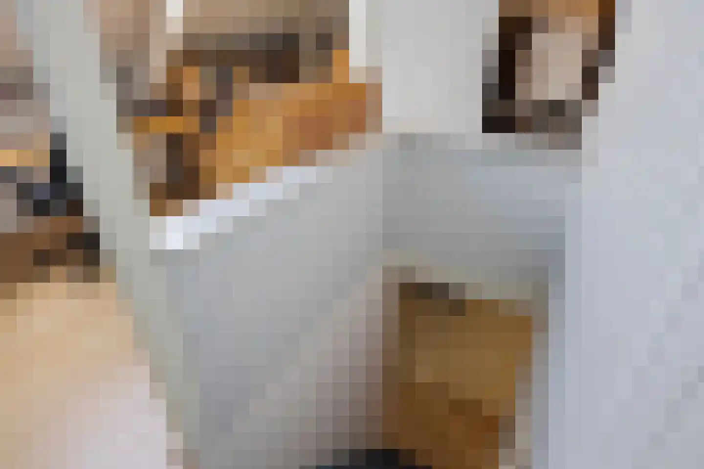 Gasthuisstraat 2 Gemonde thumbnail 37