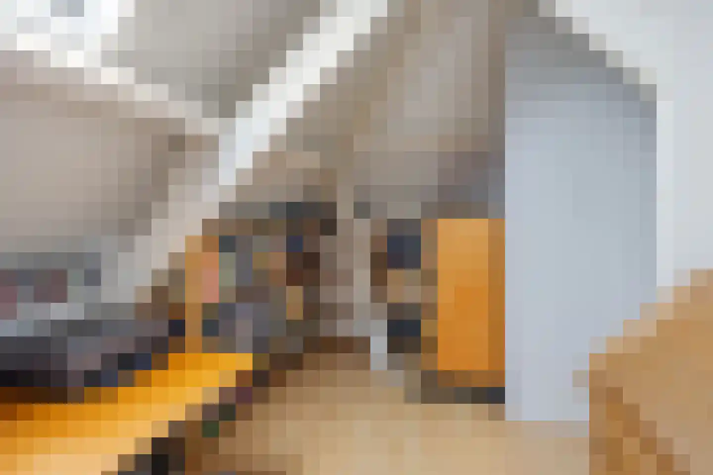 Gasthuisstraat 2 Gemonde thumbnail 39