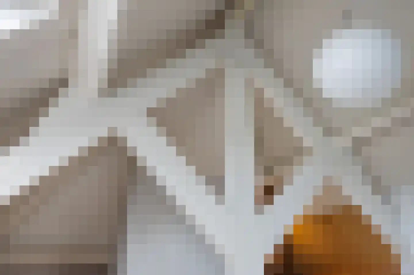 Gasthuisstraat 2 Gemonde thumbnail 40
