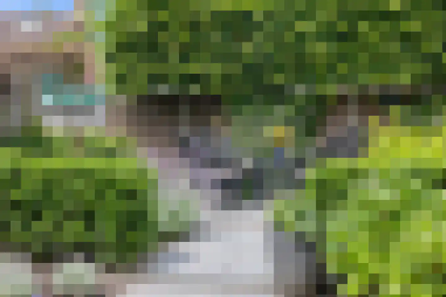 Gasthuisstraat 2 Gemonde thumbnail 48