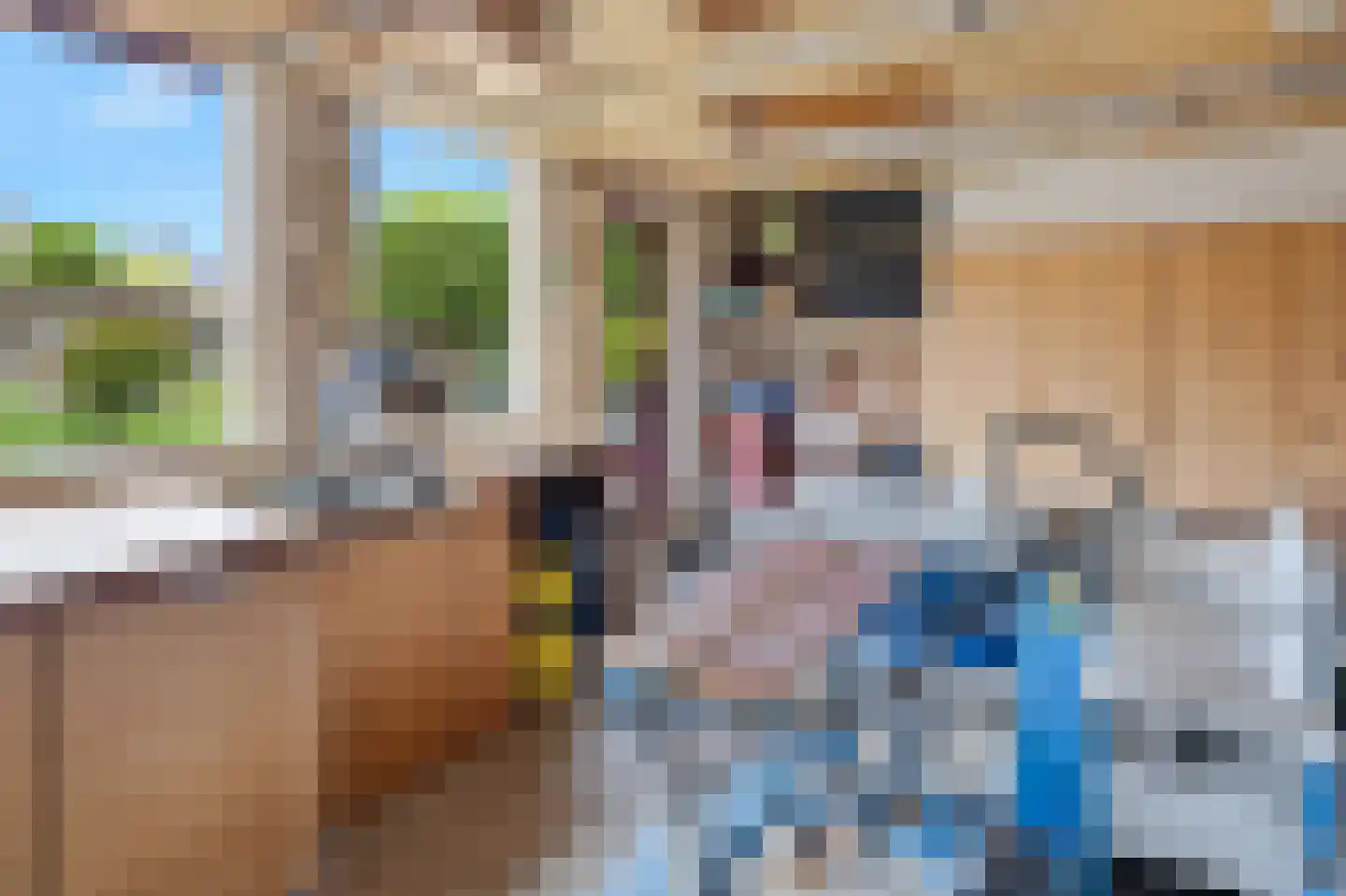 Gasthuisstraat 2 Gemonde thumbnail 51