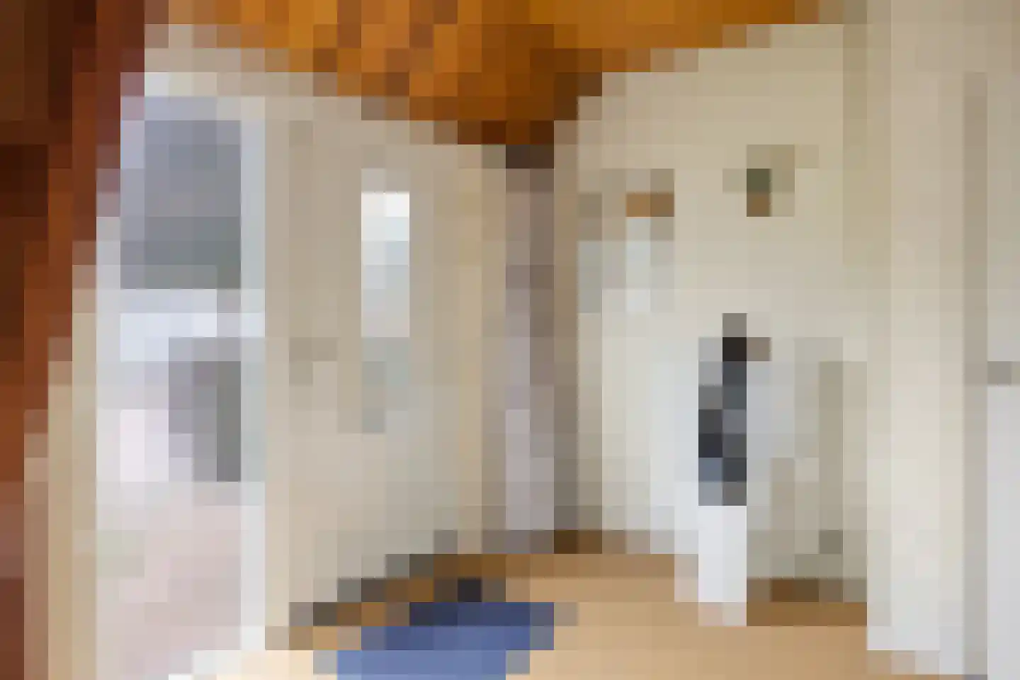 Gasthuisstraat 2 Gemonde thumbnail 7
