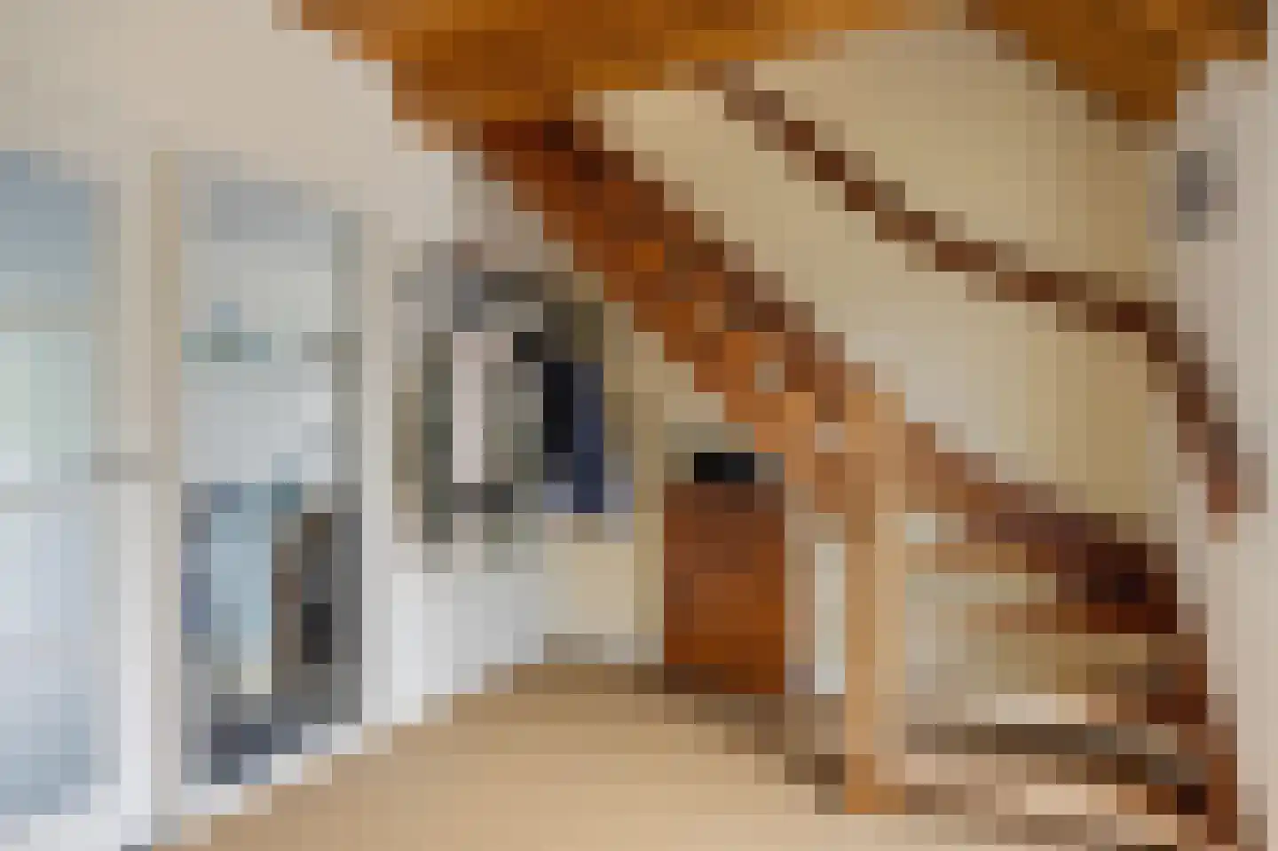 Gasthuisstraat 2 Gemonde thumbnail 8