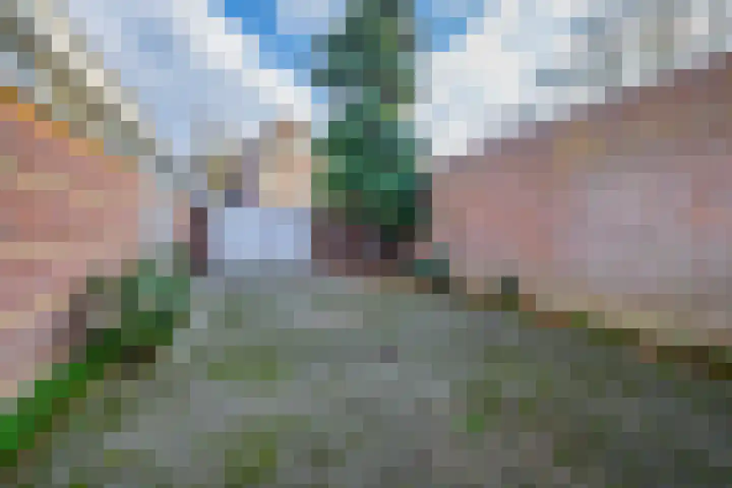 Gasthuisstraat 21 Tegelen thumbnail 15