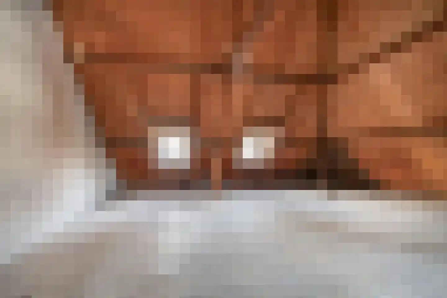 Gasthuisstraat 21 Tegelen thumbnail 38