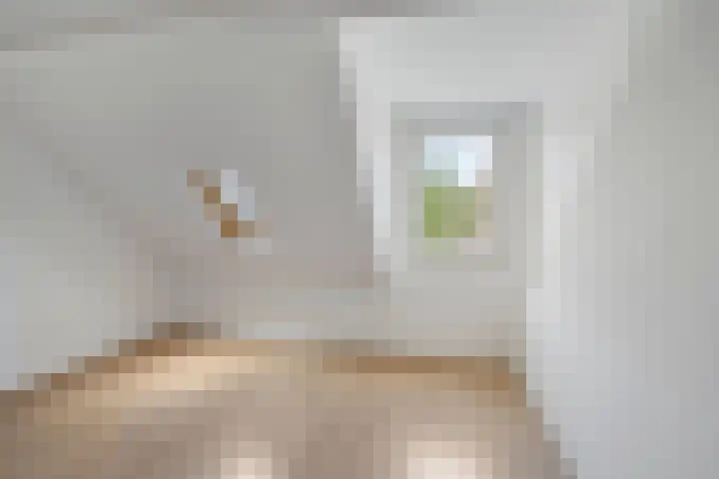 Gasthuisstraat 22 Meerssen thumbnail 14