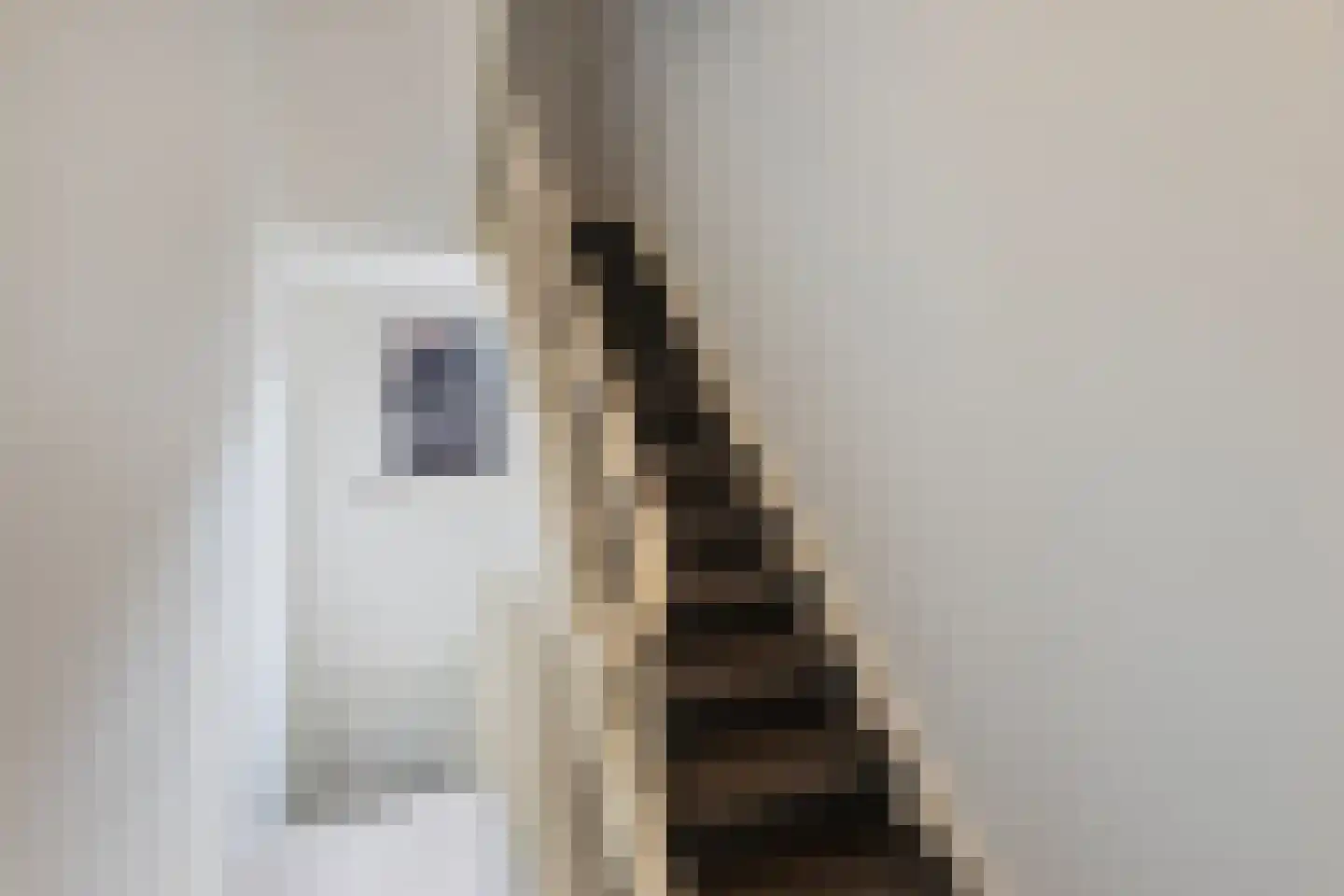 Gasthuisstraat 22 Meerssen thumbnail 20