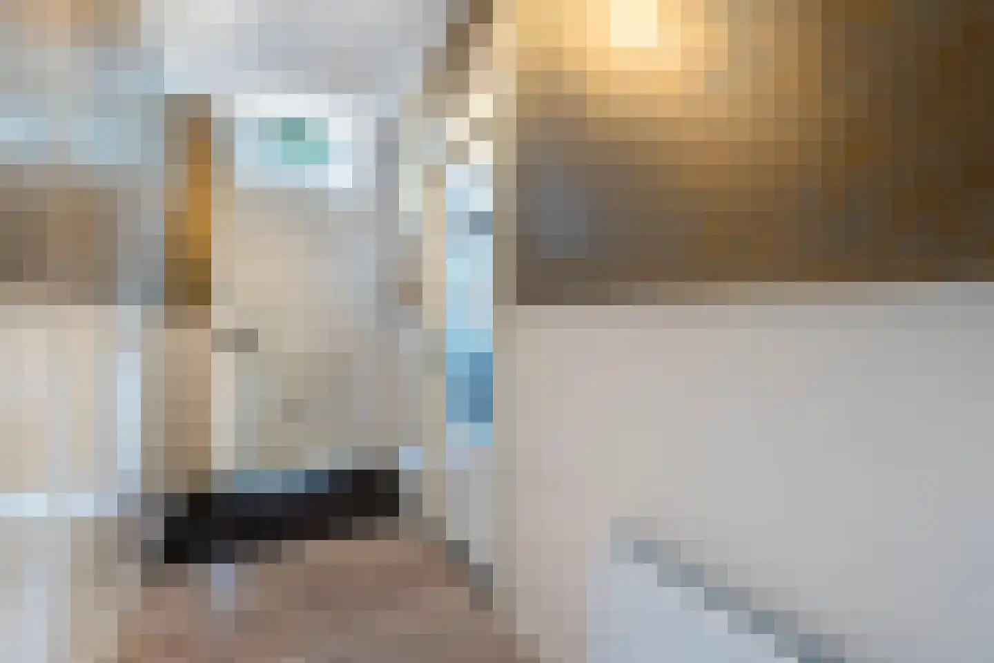 Gasthuisstraat 22 Meerssen thumbnail 5