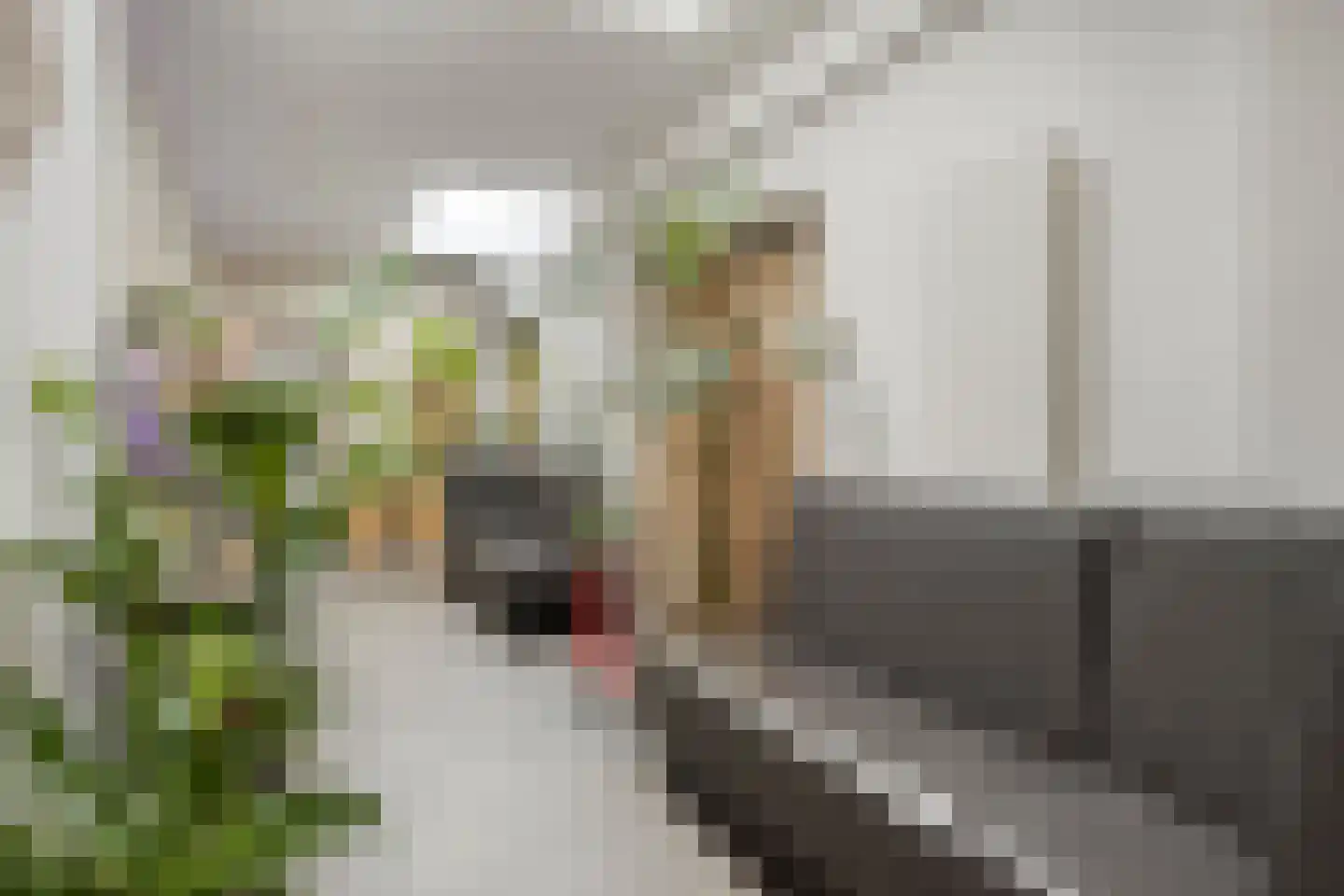 Gasthuisstraat 22 Meerssen thumbnail 9