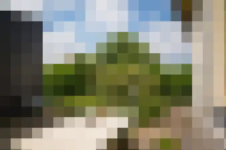 Gasthuisstraat 22 Waardenburg thumbnail 22