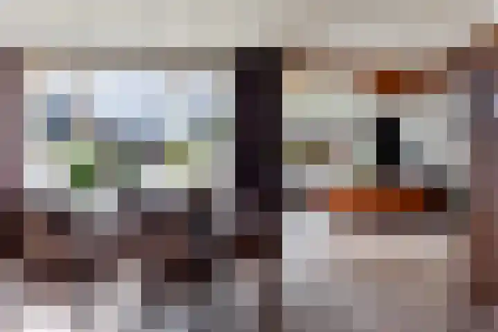 Gasthuisstraat 23 Ferwert thumbnail 14