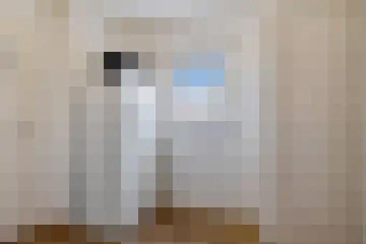 Gasthuisstraat 23 Ferwert thumbnail 16