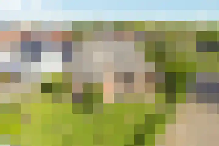 Gasthuisstraat 23 Ferwert thumbnail 32