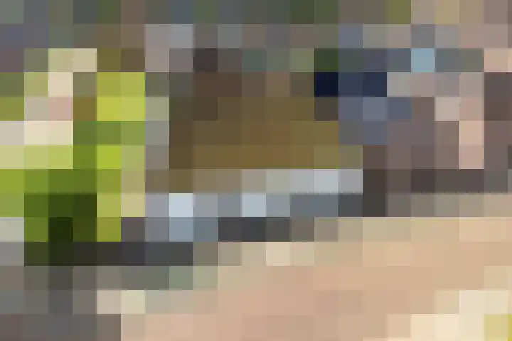 Gasthuisstraat 23 Ferwert thumbnail 34