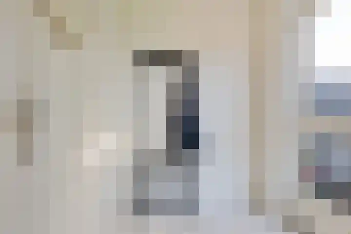 Gasthuisstraat 23 Ferwert thumbnail 5