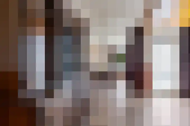 Gasthuisstraat 23 Ferwert thumbnail 8