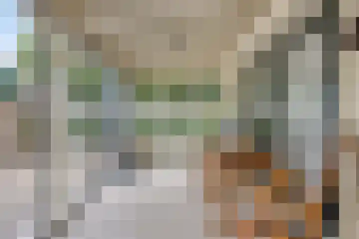 Gasthuisstraat 25 a Hedel thumbnail 35