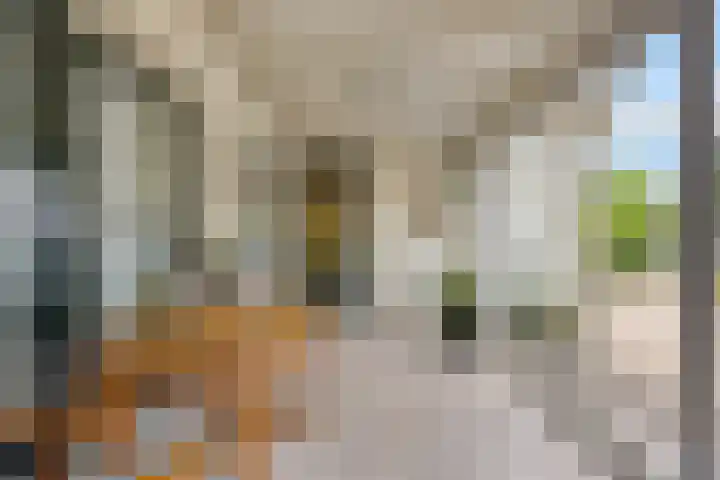Gasthuisstraat 25 a Hedel thumbnail 36