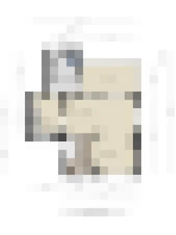 Gasthuisstraat 25 a Hedel thumbnail 53