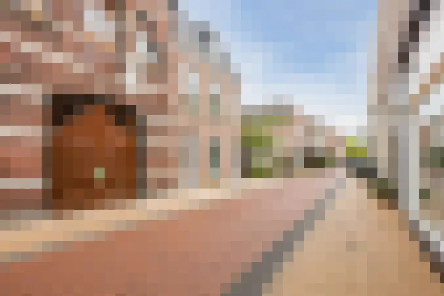 Gasthuisstraat 26 A Steenwijk thumbnail 4