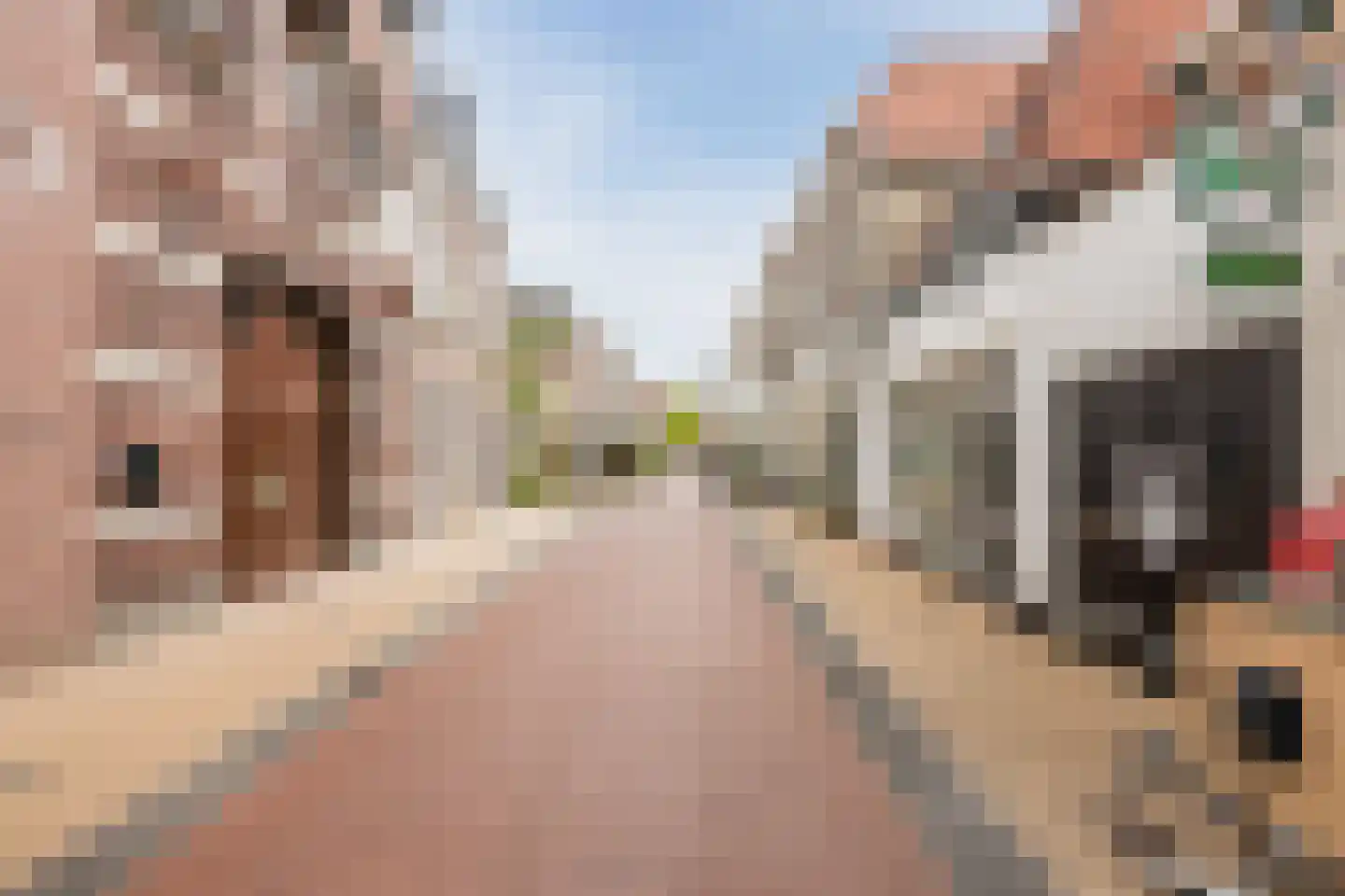 Gasthuisstraat 26 A Steenwijk thumbnail 6