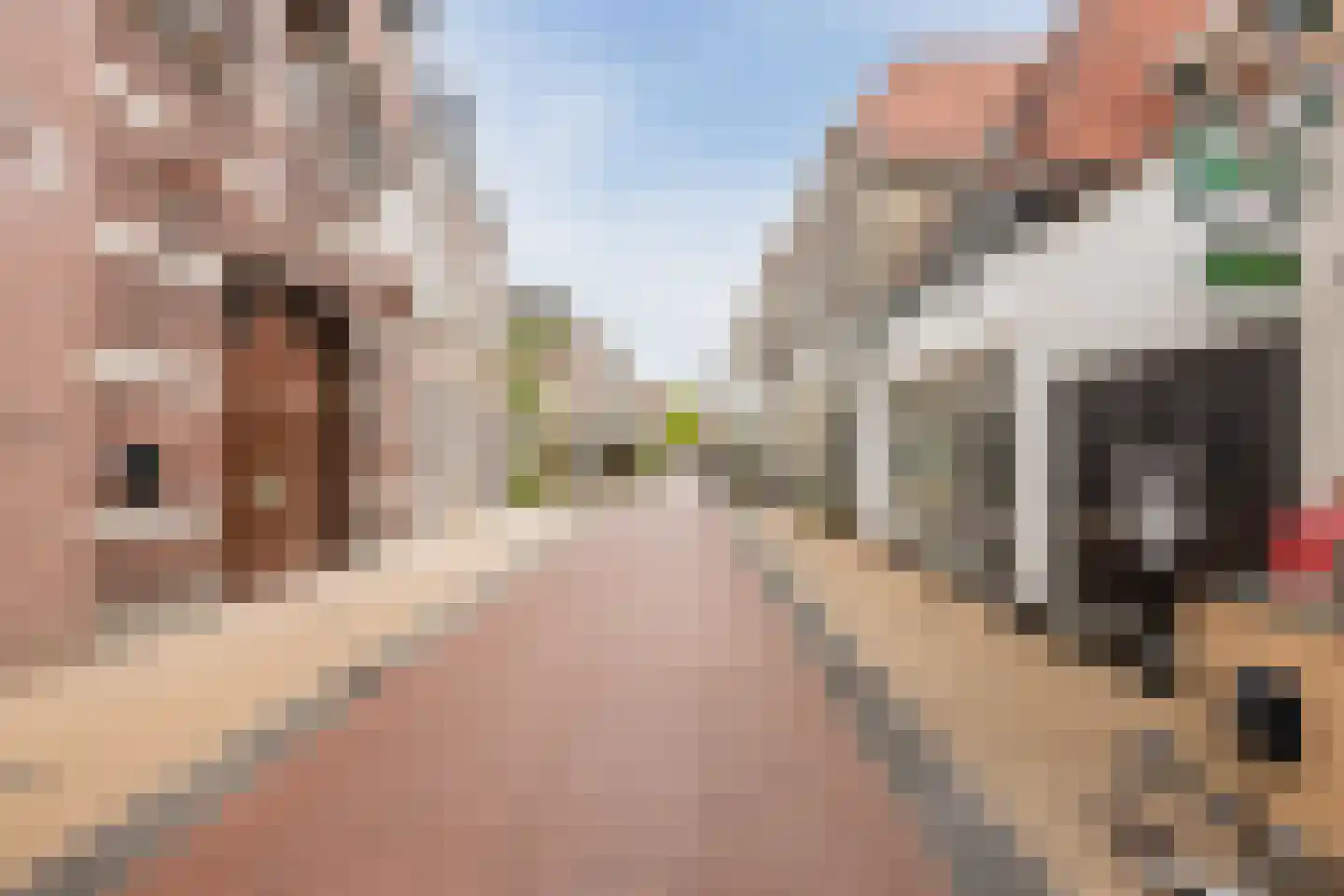 Gasthuisstraat 26 Steenwijk thumbnail 5