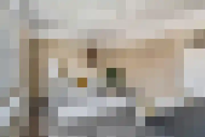 Gasthuisstraat 27 b Tiel thumbnail 7