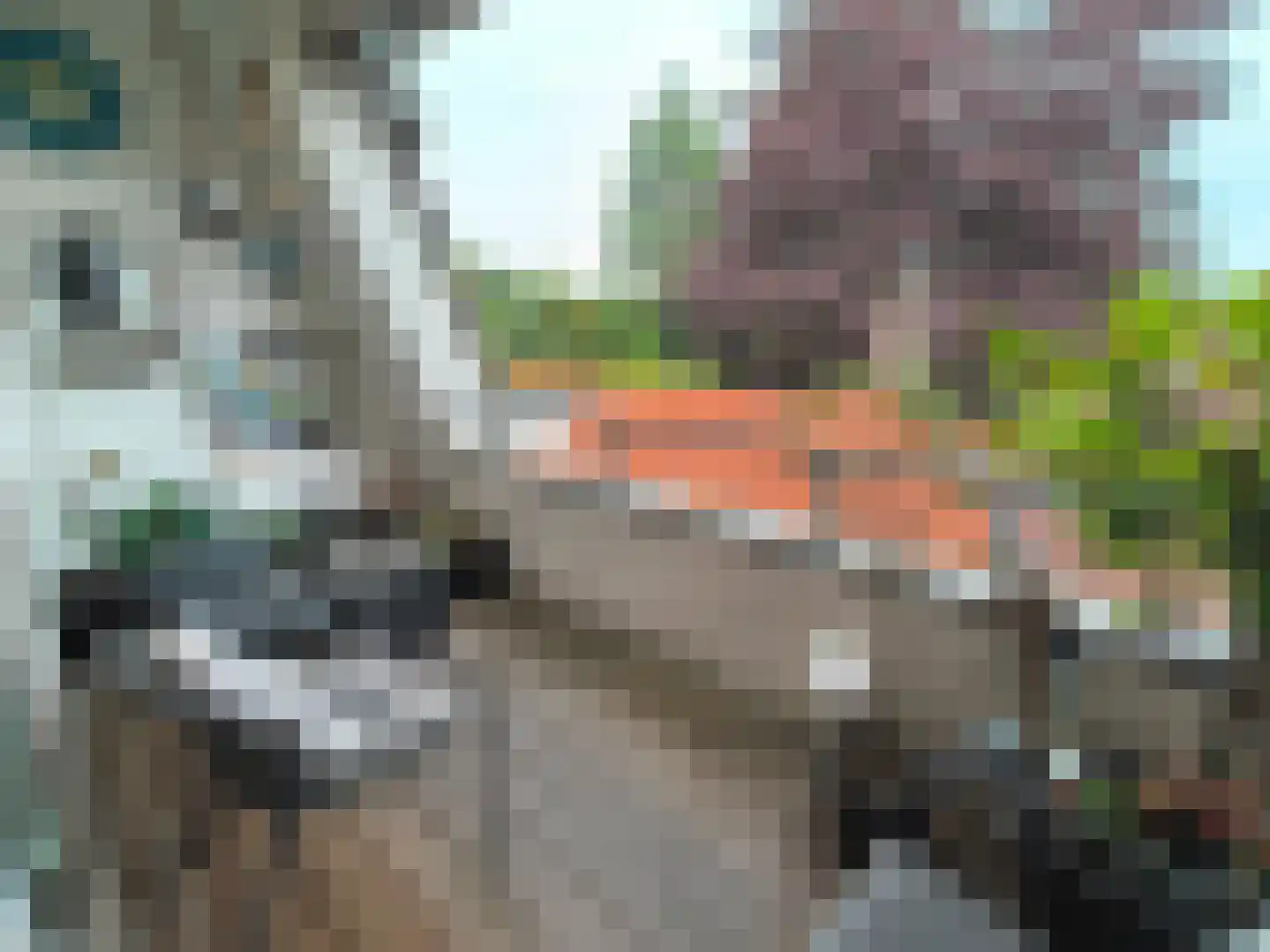 Gasthuisstraat 29 H Oirschot thumbnail 11