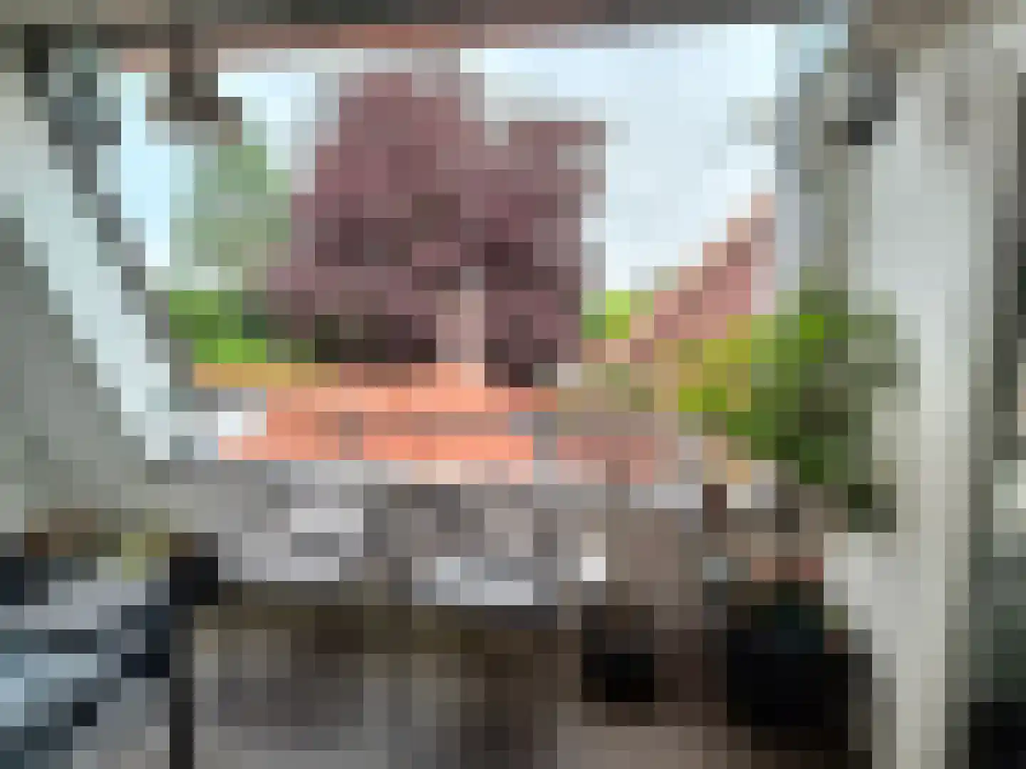 Gasthuisstraat 29 H Oirschot thumbnail 12
