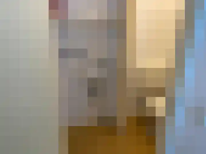 Gasthuisstraat 3 Goes thumbnail 7