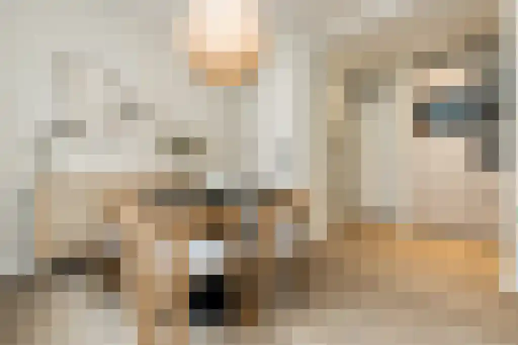 Gasthuisstraat 3 's-Hertogenbosch thumbnail 4